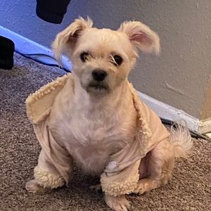 Meet your Posher, Esmeralda